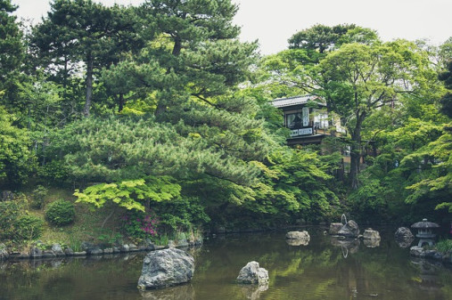 Tea and Tranquility